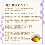 hasunoha500g