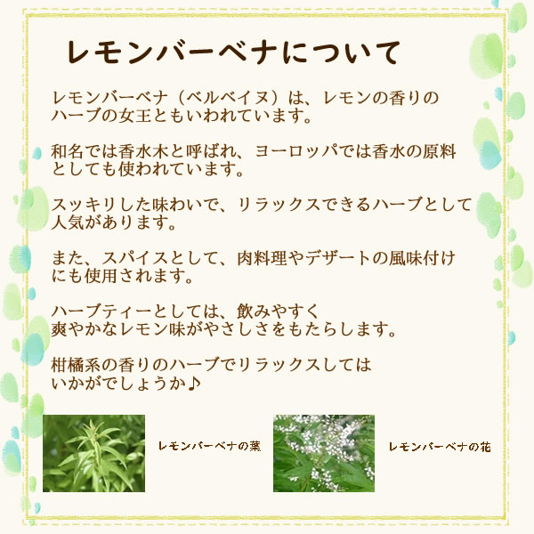 レモンバーベナティー 50g カット 送料無料 農薬検査済 ノンカフェイン ベルベイヌ 香水木 ハーブ ハーブティー ティー ヴィーナース 公式 ハーブ 専門店 Venurse ヴィーナース 販売 通販 サイト