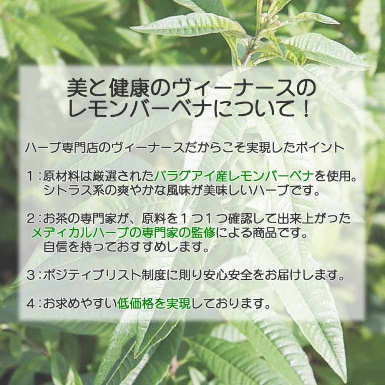 レモンバーベナティー 50g カット 送料無料 農薬検査済 ノンカフェイン ベルベイヌ 香水木 ハーブ ハーブティー ティー ヴィーナース 公式 ハーブ 専門店 Venurse ヴィーナース 販売 通販 サイト