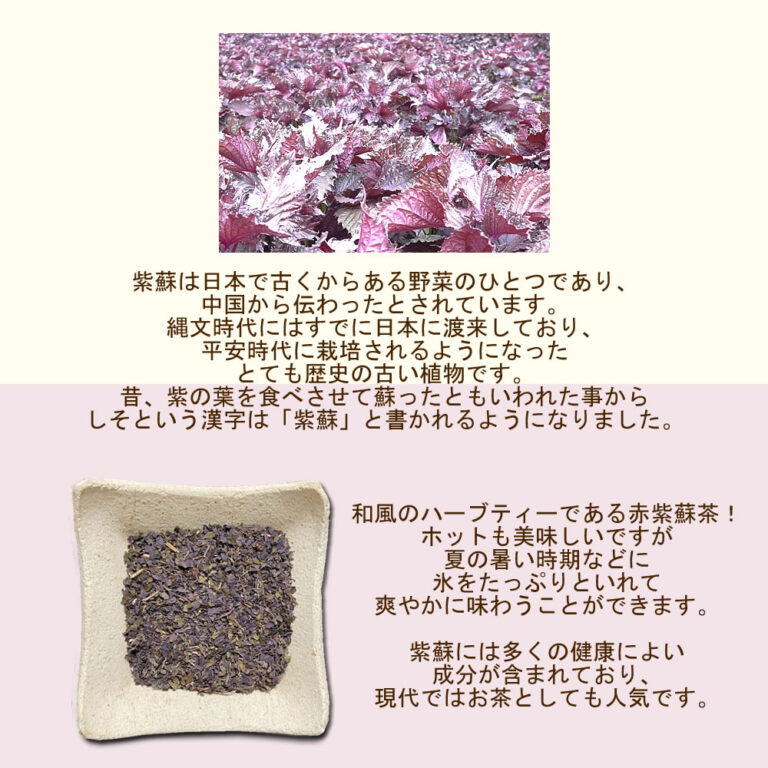akasiso60p