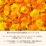 marigold15p