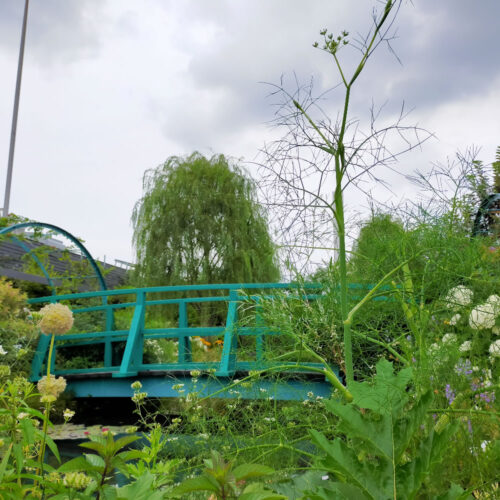 池袋の空中庭園｜ヴィーナース(venurseherbs)