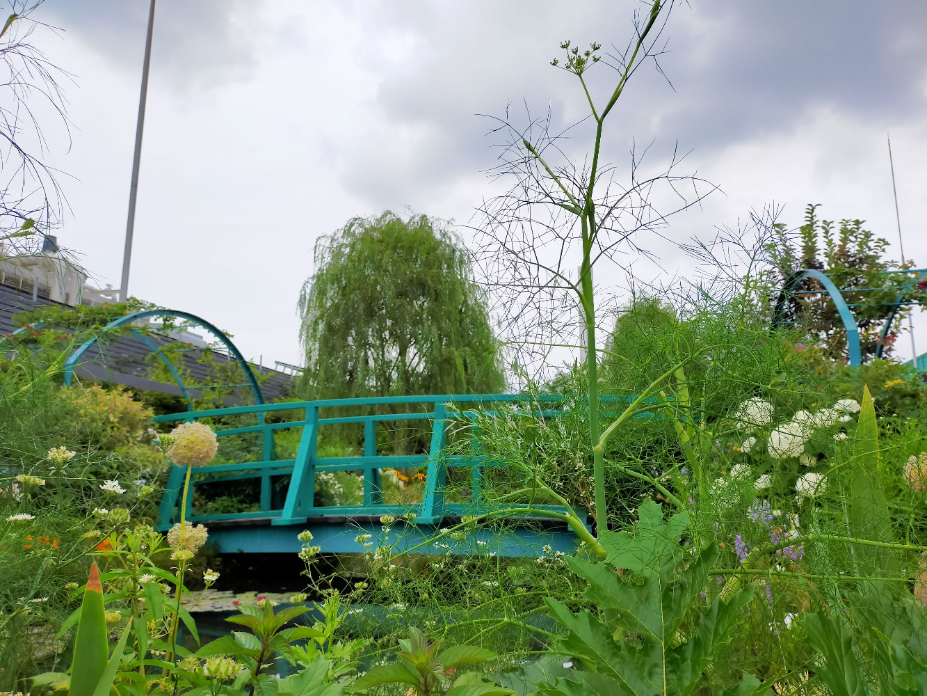 池袋の空中庭園｜ヴィーナース(venurseherbs)