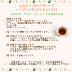 elder45p