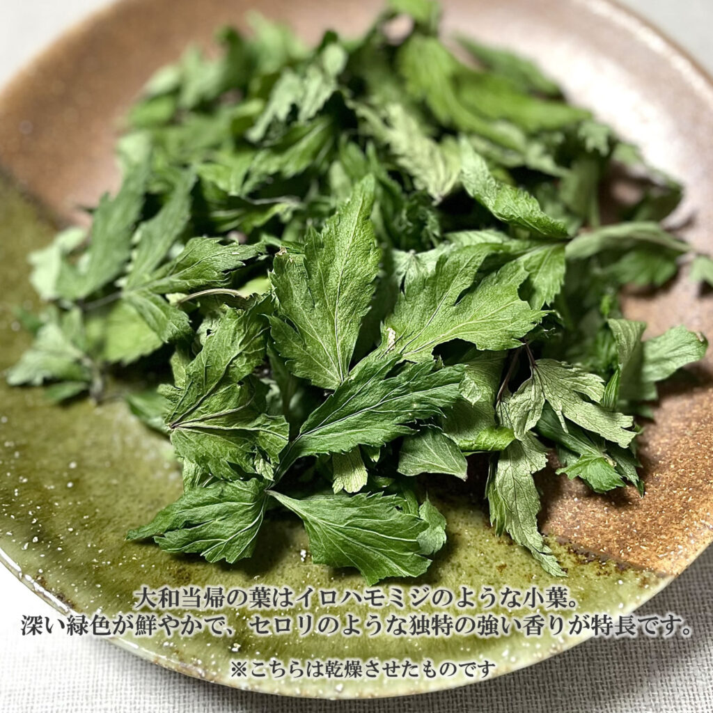 ヴィーナース 大和当帰茶の茶葉| ヴィーナース ( venurse )