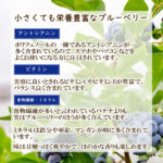 blueberry