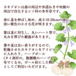 kakidooshi