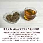 kakidooshi